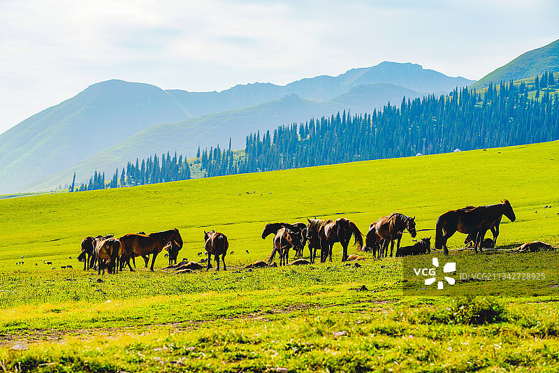 新疆伊犁那拉提空中草原风光图片素材