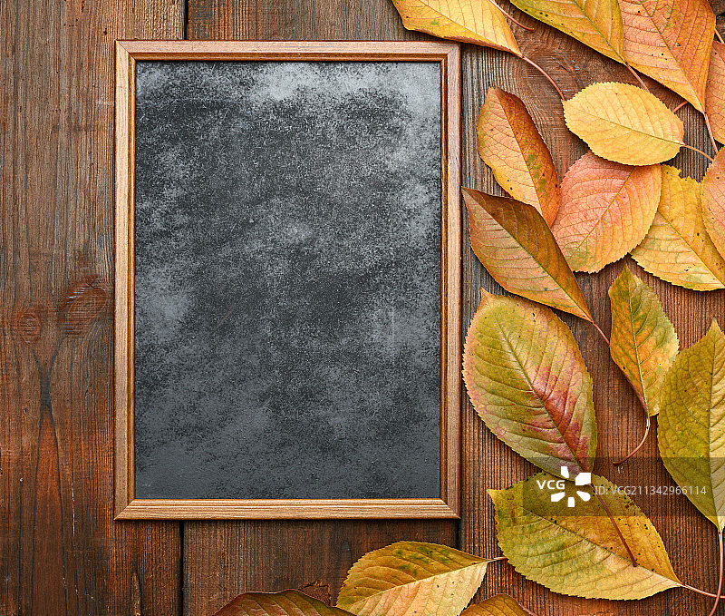 直接在上面拍摄空白相框与秋叶和树叶在桌子上图片素材