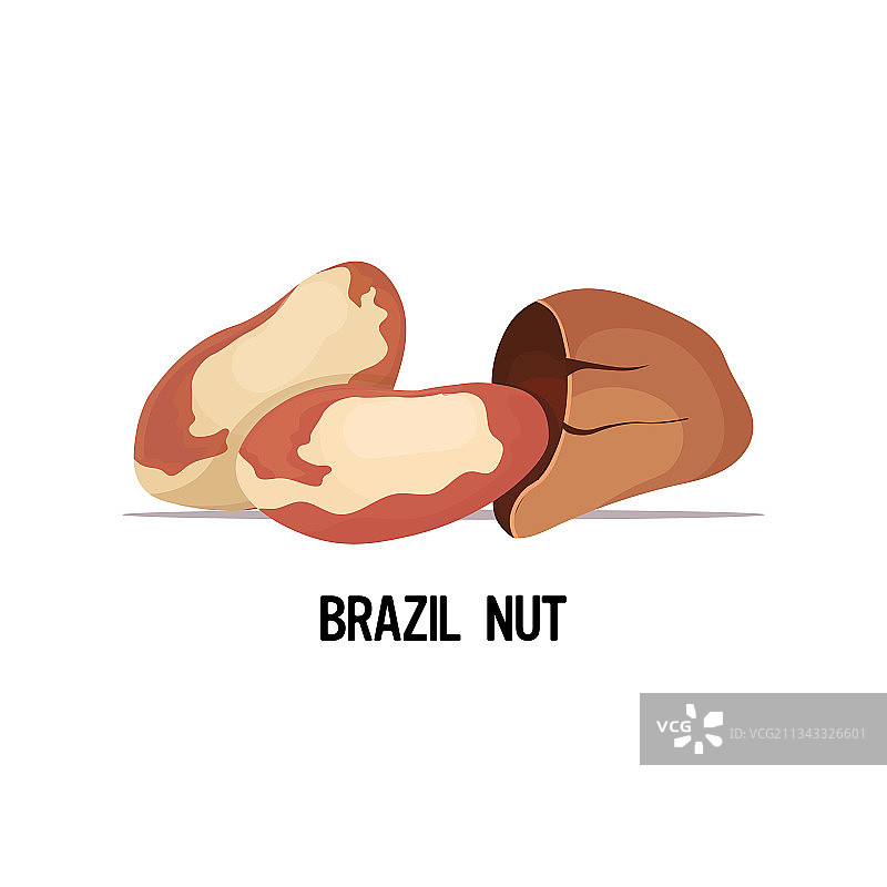 白色背景下的巴西坚果健康图片素材