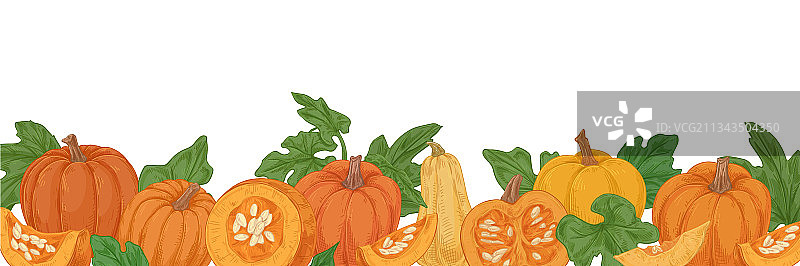 秋天手绘边有南瓜和葫芦图片素材