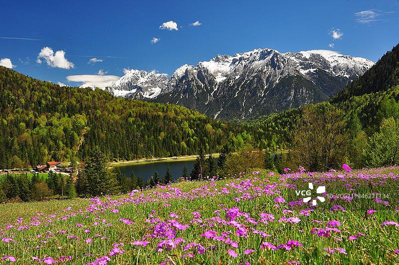 山湖，Ferchensee, Karwendel山脉，Mittenwald, Bavaria，德国，欧洲图片素材
