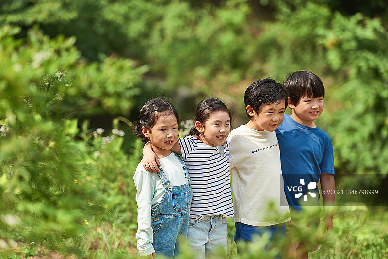 四个孩子在野外旅行，肩并肩站在森林里图片素材