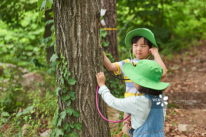 两个孩子在森林里用听诊器检查树木图片素材