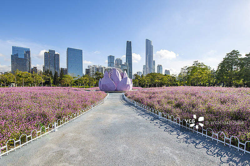 广州珠江新城天际线和公园花坛图片素材