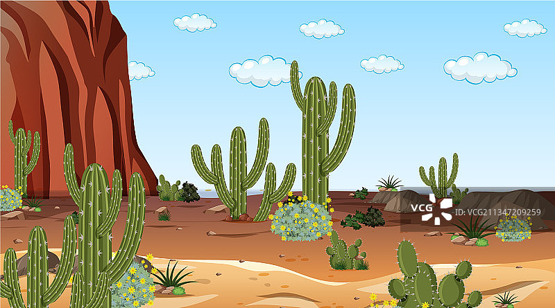 沙漠森林景观在白天的景象图片素材
