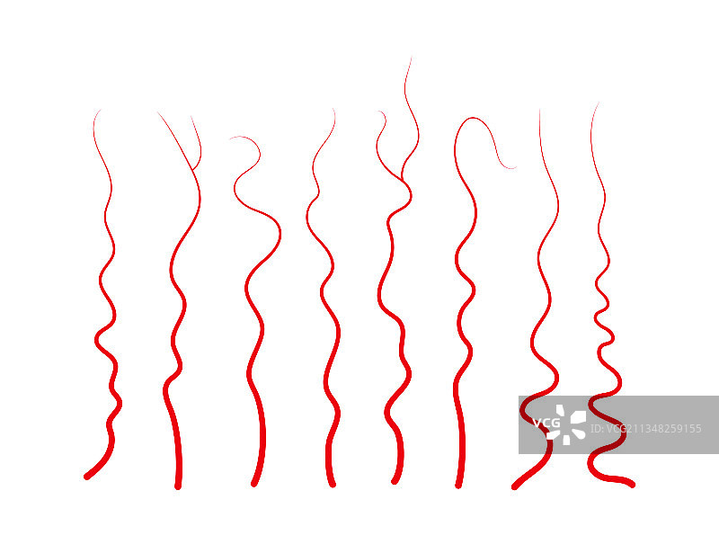 一组人类的静脉和动脉红色的血管图片素材