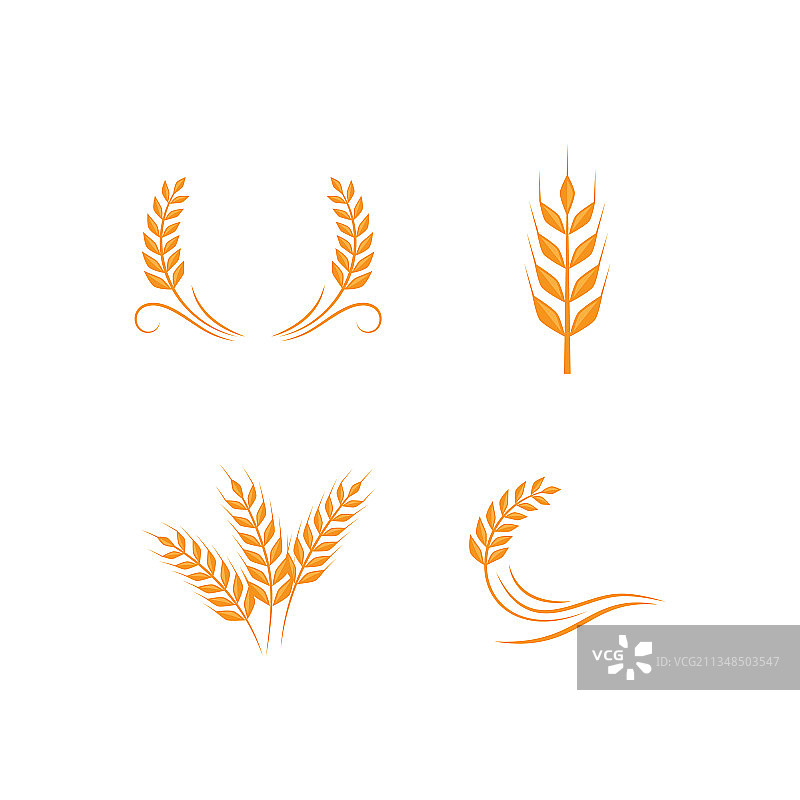 小麦设计图片素材