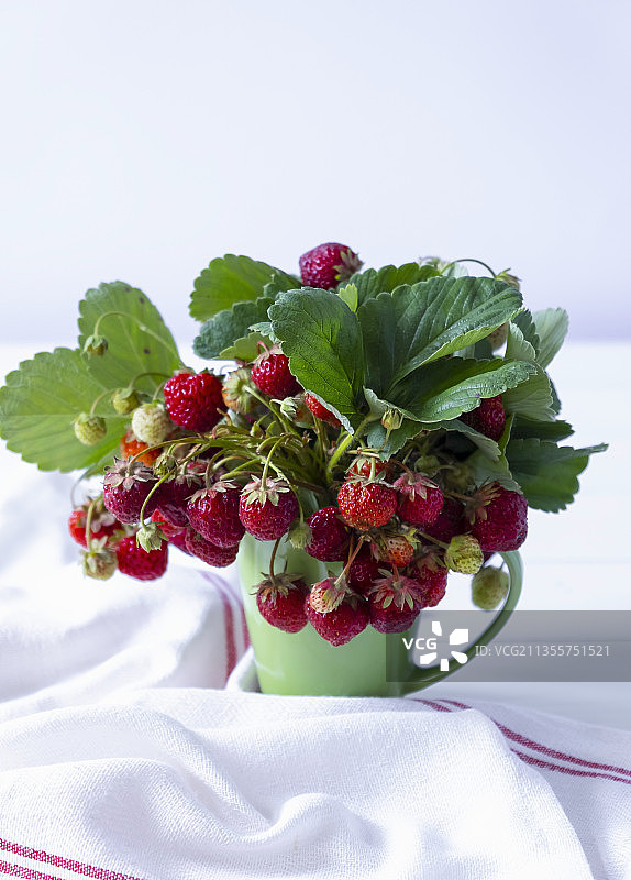 绿色杯子里的野草莓图片素材