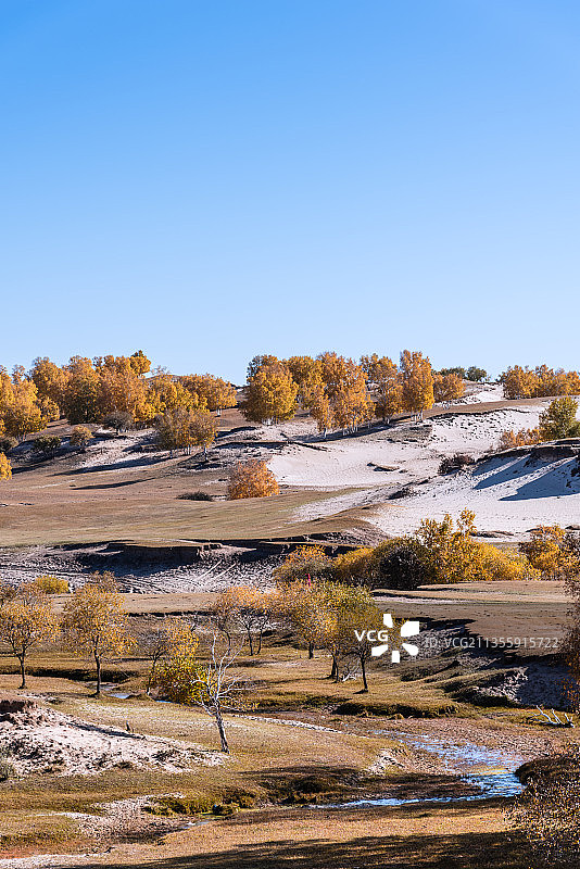 秋天内蒙古乌兰布统坝上草原的山丘草地树林图片素材