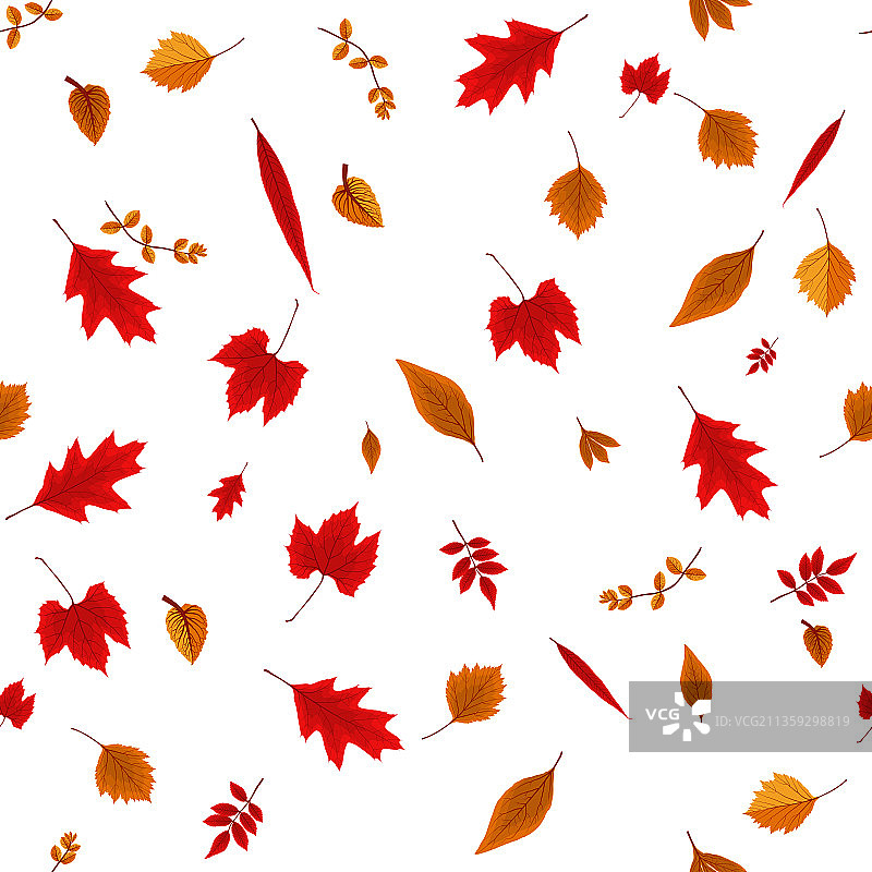 在白色的地上飘落五彩缤纷的秋叶图片素材