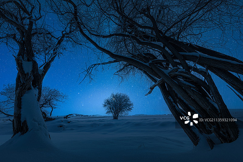 星空下的风雪古树图片素材