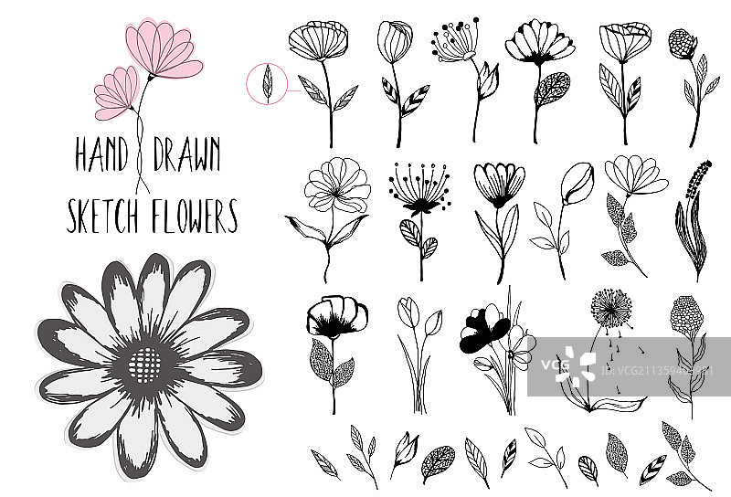漂亮的大套花卉元素50只手图片素材