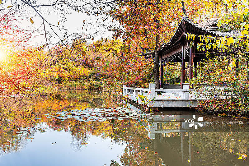 秋天中国南京栖霞山的枫林湖秋景图片素材