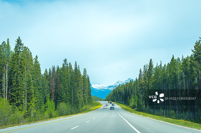 公路之旅，加拿大阿尔伯塔省班夫市，空旷的道路在树木与天空的映衬下图片素材