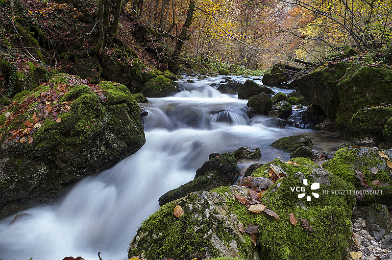 Boga-vlgye Padis,Parcul国家munti Apuseni，森林中的瀑布风景图片素材