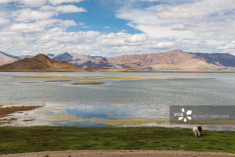 中国西藏阿里日土县班公湖的湖光山色8图片素材