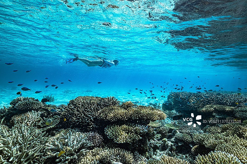 礁石，人在海里游泳，马约特图片素材