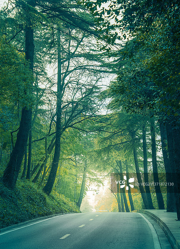 中国江苏南京紫金山白马公园的公路图片素材