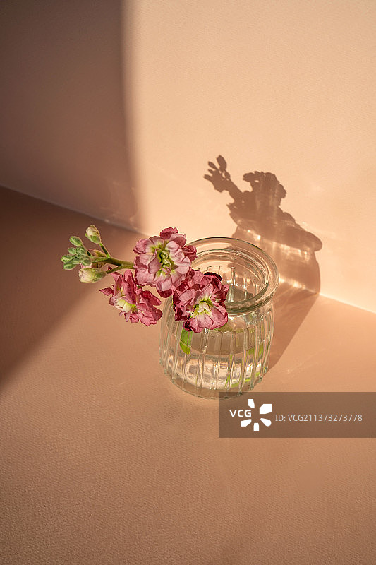 美丽的抽象背景与鲜花和花瓶图片素材