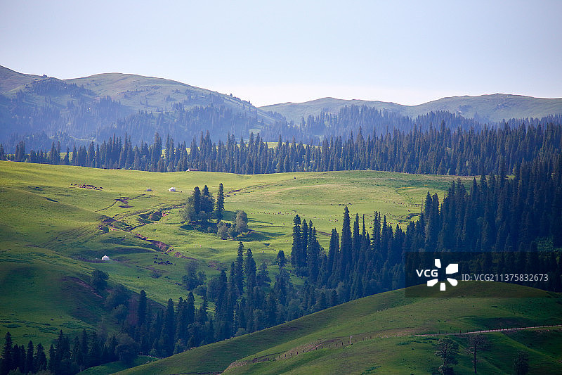中国中华新疆北疆伊犁伊宁航拍草原森林雪山图片素材