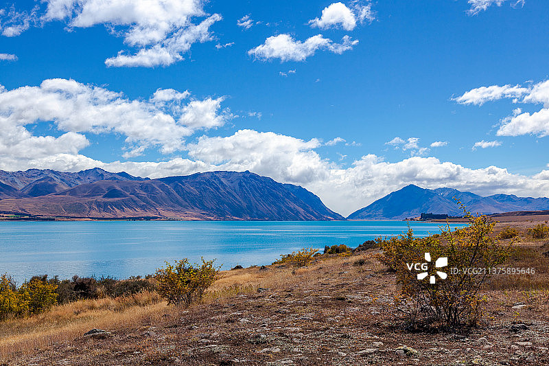 风景如画的特卡波湖在新西兰，新西兰图片素材