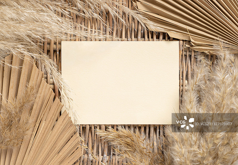 波西米亚空白卡在板条表近干棕榈叶和潘帕斯草图片素材