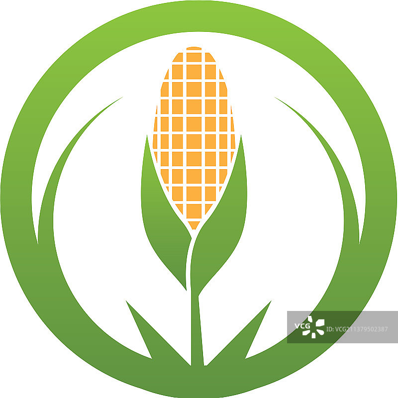 玉米图标标志logo图片素材
