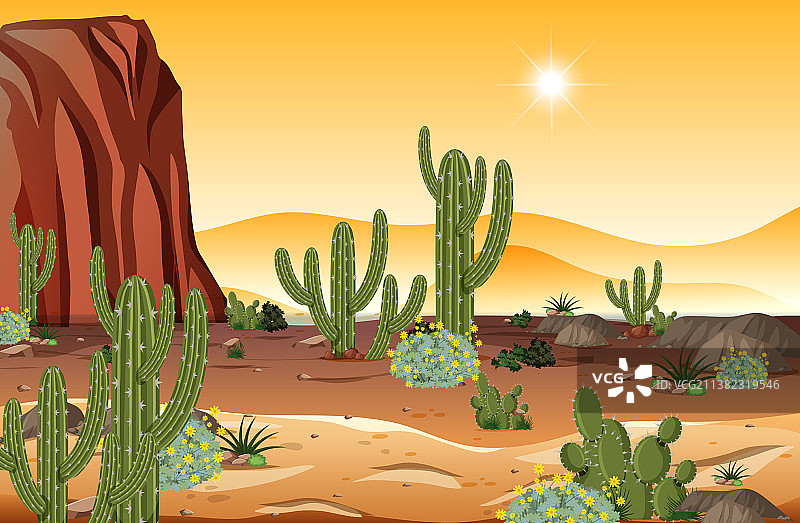 沙漠森林景观在日落时分的景象图片素材
