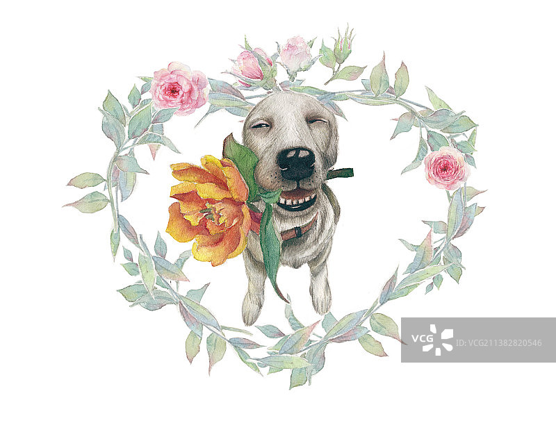 白色背景水彩手绘花丛中叼着花的一只小狗图片素材