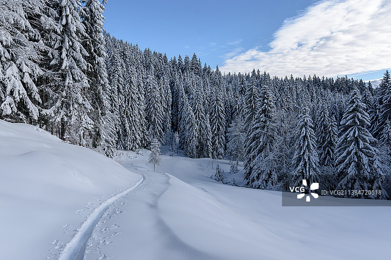 冬天的福里斯特，雪天映衬的风景，斯洛文尼亚图片素材
