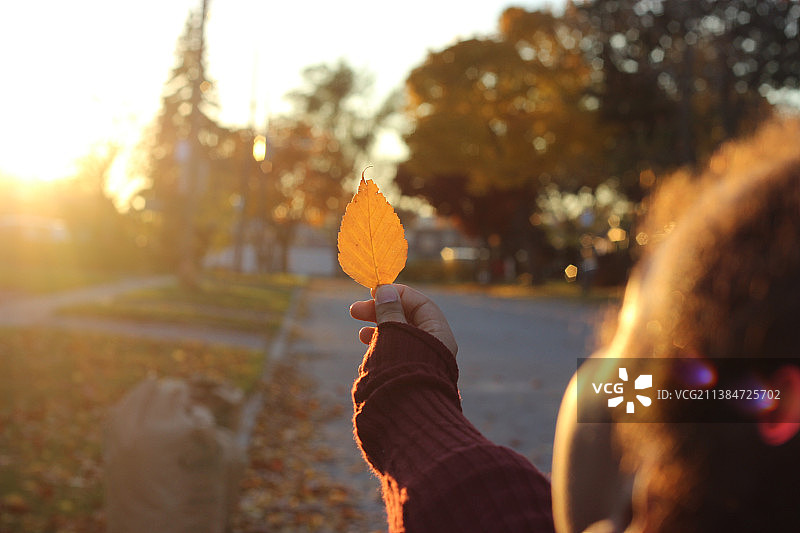 金色的光，女人在秋天拿着树叶对着树，多伦多，安大略省，加拿大图片素材