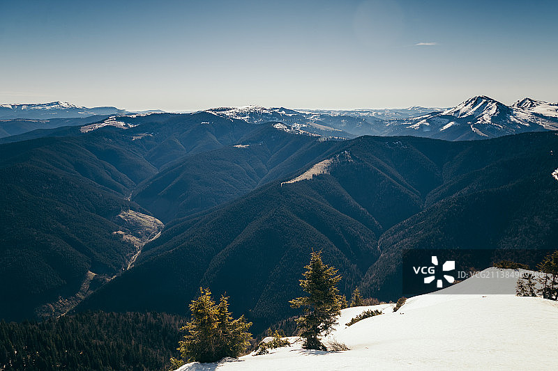 雪山，针叶林，春天，冬天，雪山映衬天空的风景图片素材