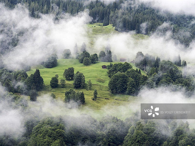 风景如画的树木景观对天空，Saas，瑞士图片素材