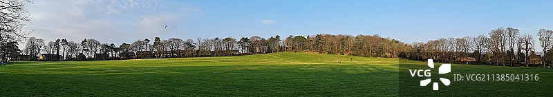 开放的公共公园和树木在后面，英国，英国图片素材