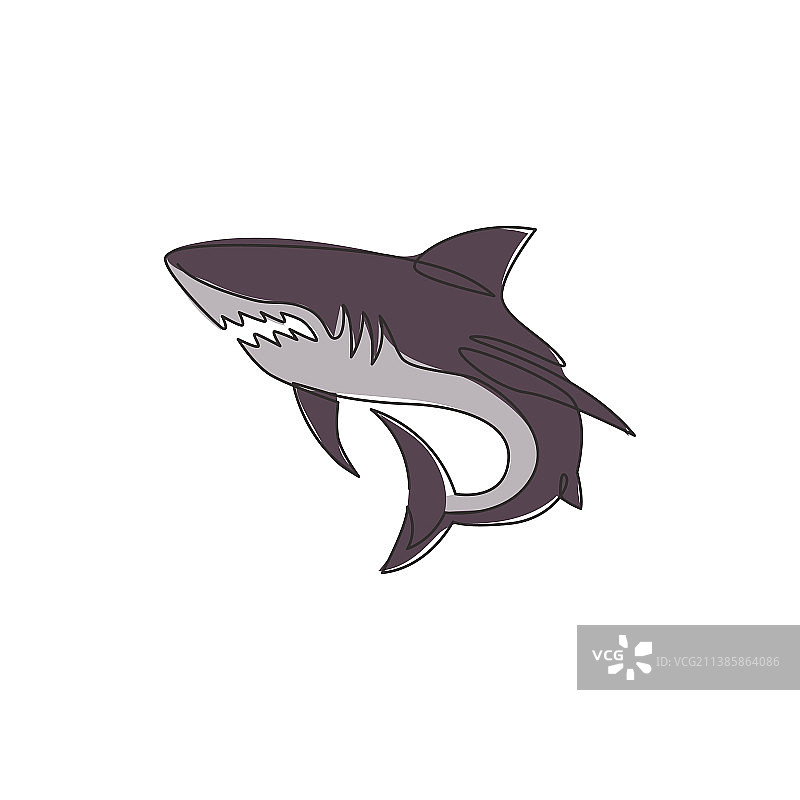 一条单线绘制的尺子的海鲨图片素材