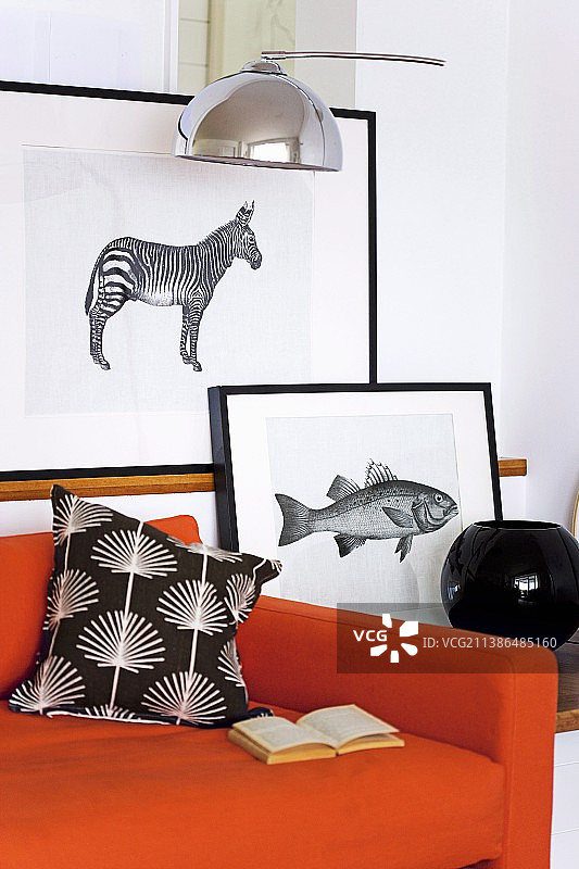橙色沙发后面有黑色边框的动物图案图片素材
