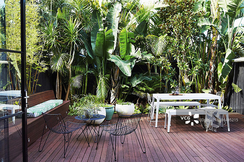 木制露台，户外家具，热带植物环绕图片素材
