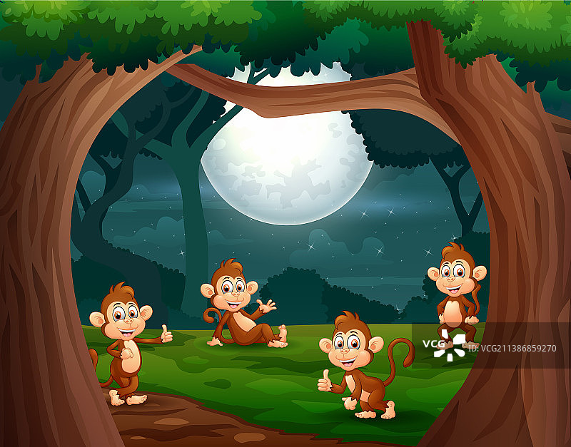一群猴子晚上在丛林里图片素材