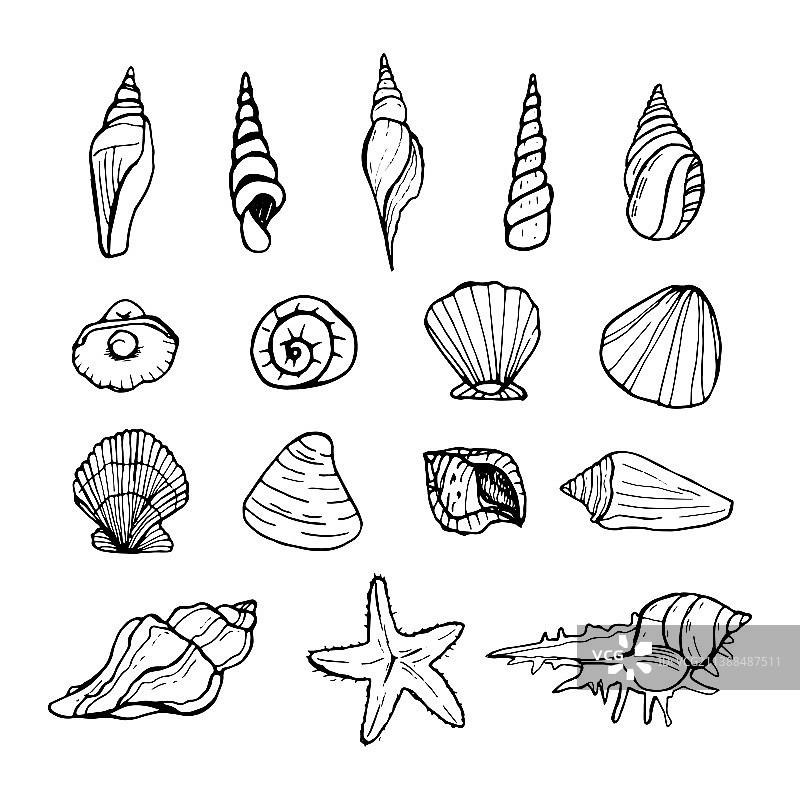贝壳涂鸦套装手绘海卖图片素材