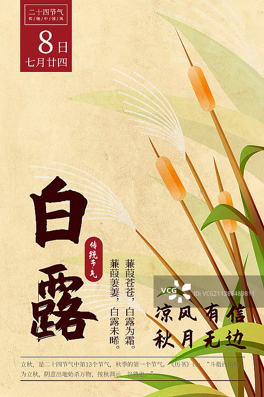 二十四节气新中式植物海报-15白露-蒹葭图片素材