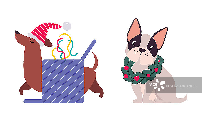 不同品种的可爱狗带着圣诞花环图片素材