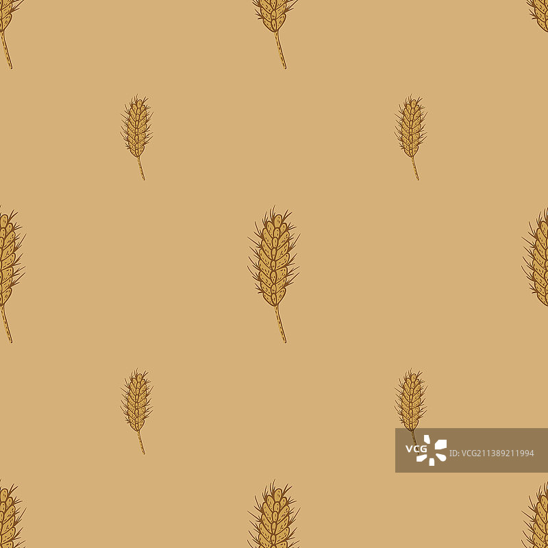 小麦无缝图案谷类作物草图图片素材