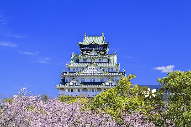 日本大阪的城堡和樱花图片素材
