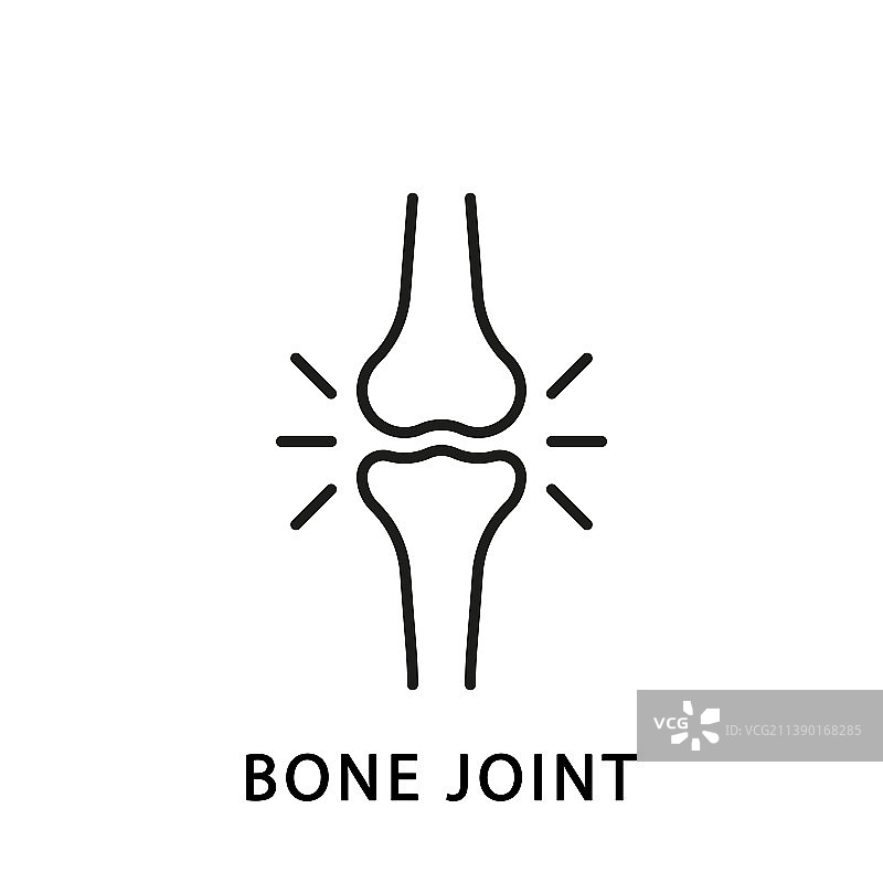 人膝骨关节线图标解剖腿图片素材