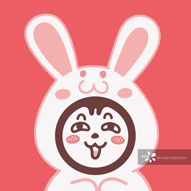 可爱卡通十二生肖IP设计兔子插画，兔年新年春节节庆科普宣传动物广告插画图片素材