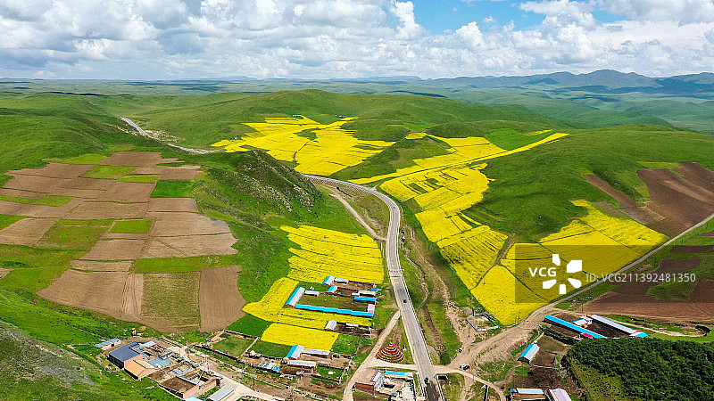 四川省阿坝藏族羌族自治州若尔盖草原，素有“川西北高原的绿洲”之称，是我国三大湿地之一图片素材