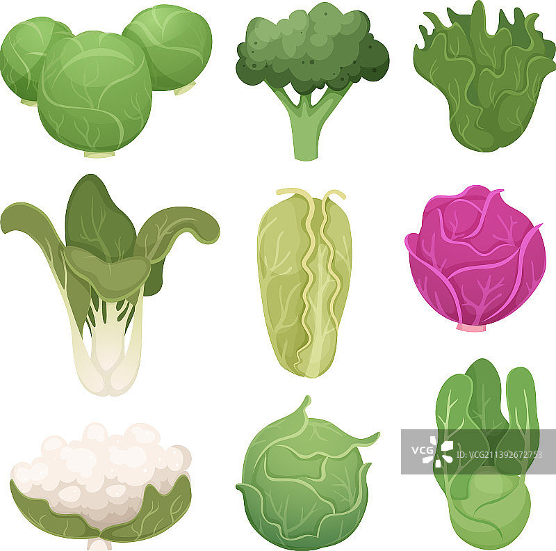 白菜图片农场素食食材生态图片素材
