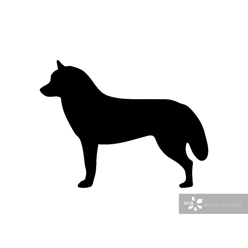 白色背景上一只狗的黑色剪影图片素材