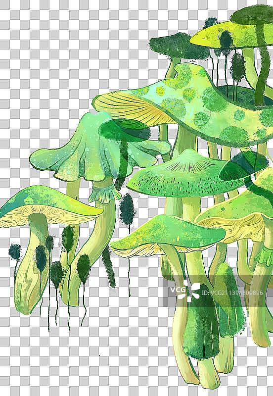 绿色蘑菇林图片素材
