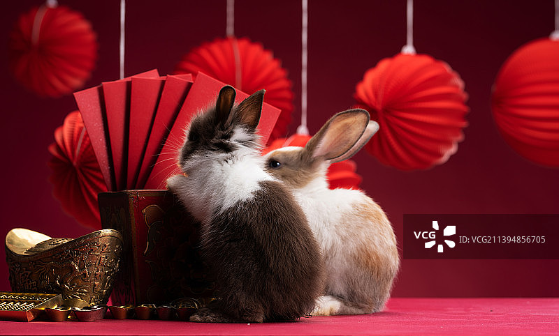 可爱的小兔子和新年静物图片素材